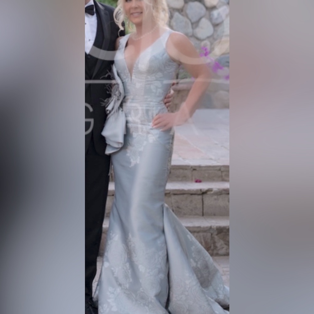 Terani silver gown